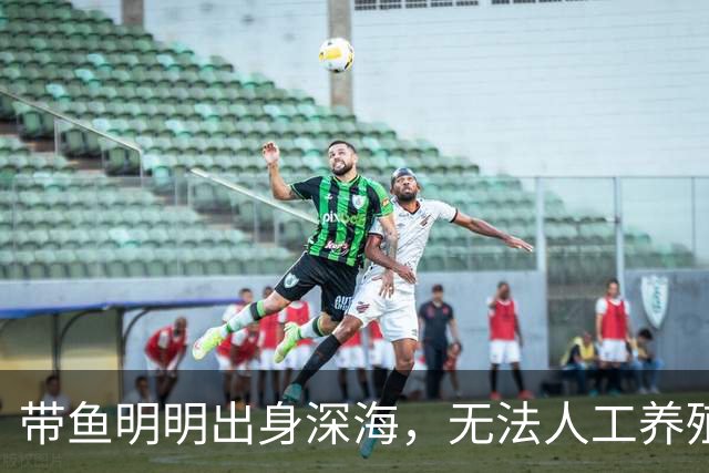 带鱼明明出身深海，无法人工养殖，为什么成了便宜的平民海鲜？