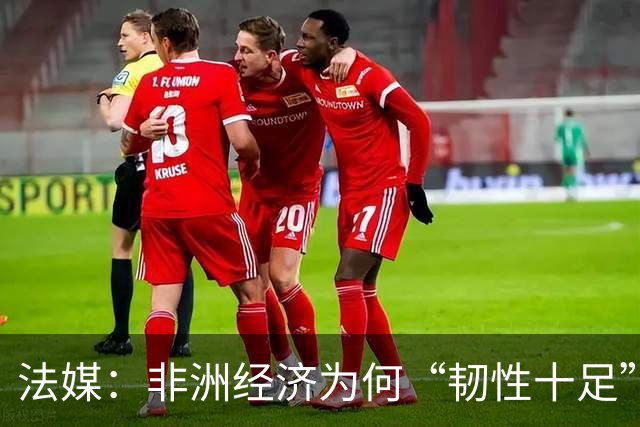 法媒：非洲经济为何“韧性十足”？
