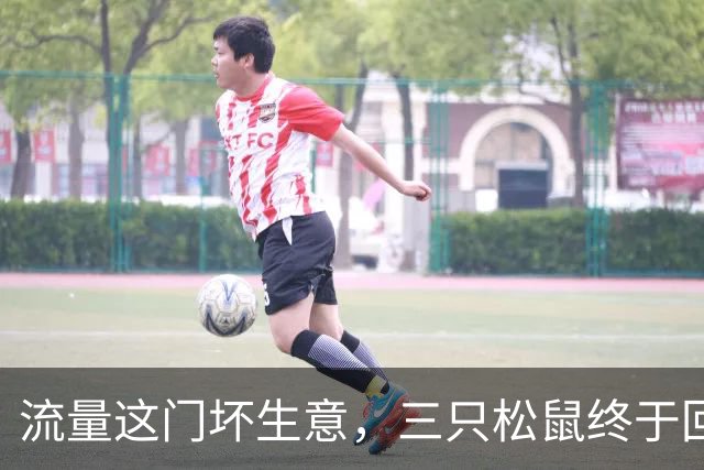流量这门坏生意，三只松鼠终于回过味儿来了