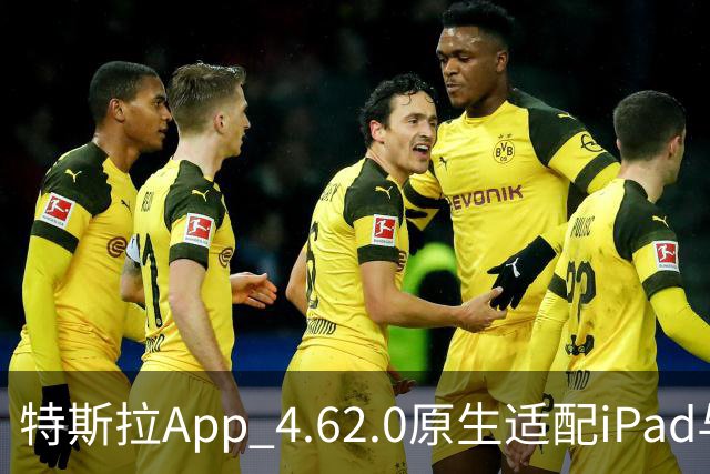 特斯拉App 4.62.0原生适配iPad与iPhone Duo