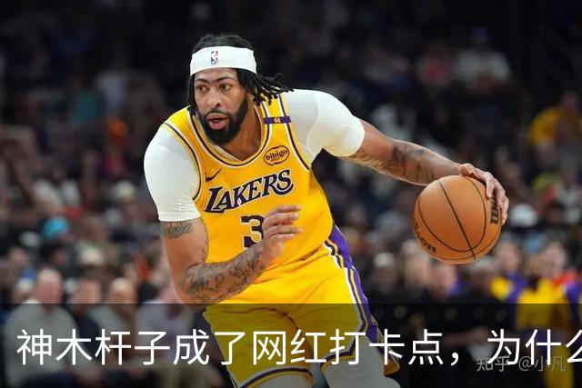 神木杆子成了网红打卡点，为什么要围起来？
