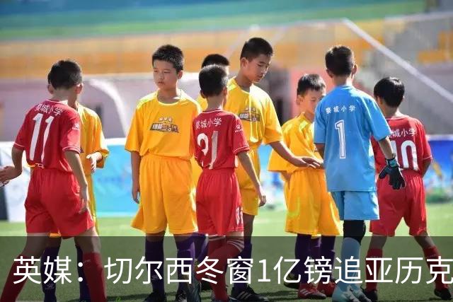 英媒：切尔西冬窗1亿镑追亚历克斯-斯科特