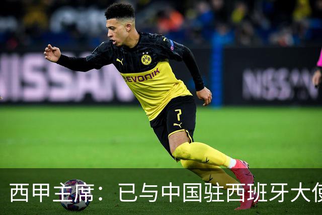 西甲主席：已与中国驻西班牙大使会面 寻求解决办法