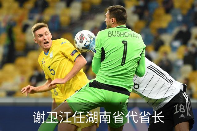 谢卫江任湖南省代省长