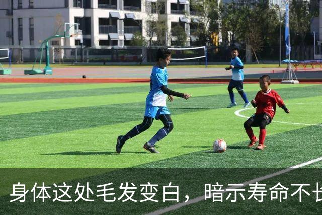 身体这处毛发变白，暗示寿命不长？这几个部位的毛发变白，要警惕