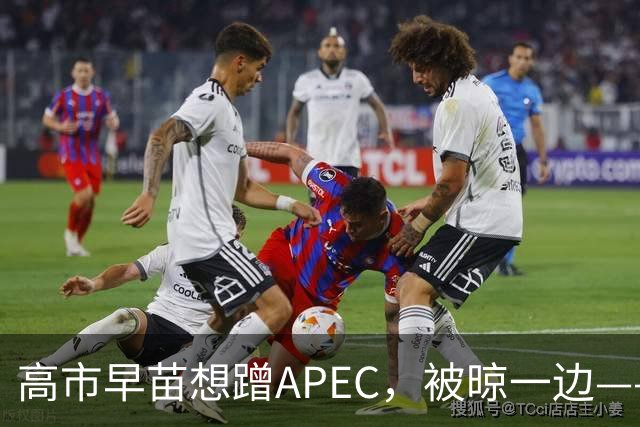 高市早苗想蹭APEC，被晾一边——这台阶修成滑梯还铺“鬼火”，滑不滑稽？