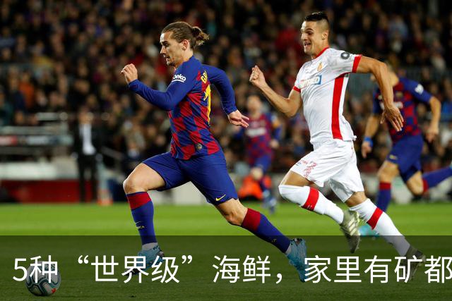 5种“世界级”海鲜，家里有矿都不敢多吃，最后1种来自中国台湾！